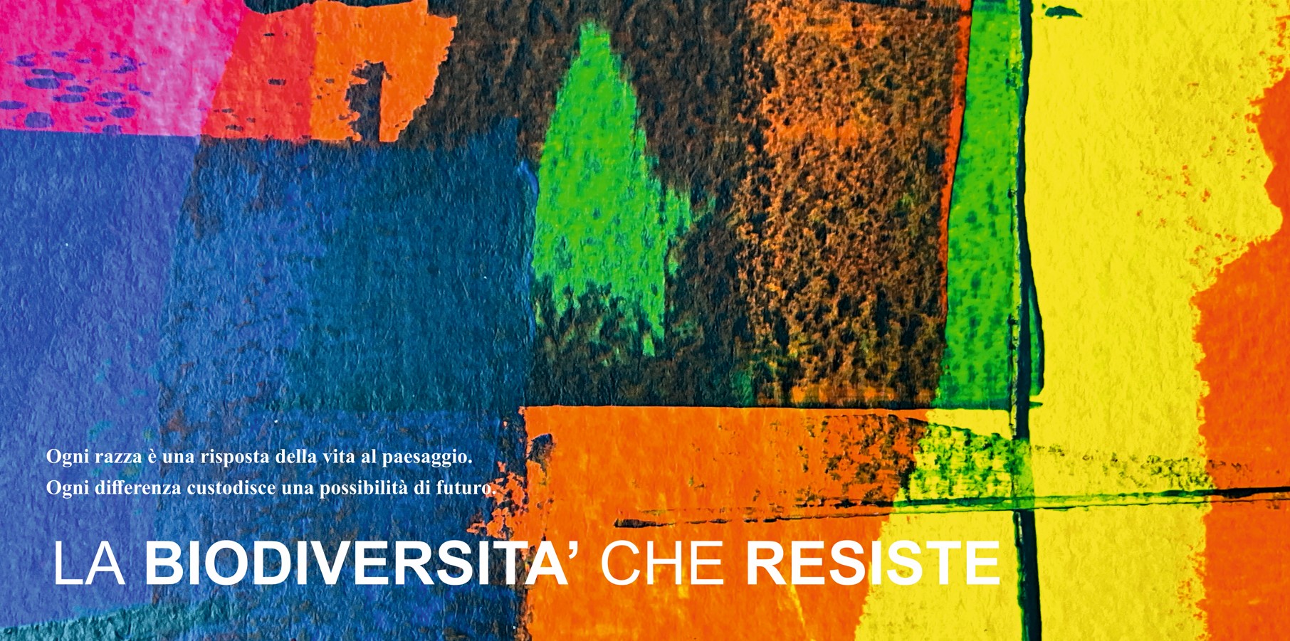 Pannello 07