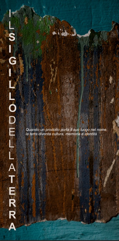 Pannello 13